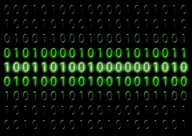 What to do after a data leak - Picture Showing Binary Code