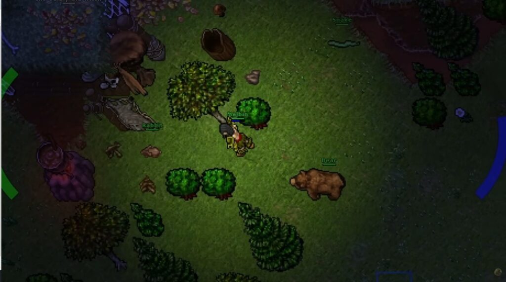 Retro top-down view of Tibia with its old-school interface.
