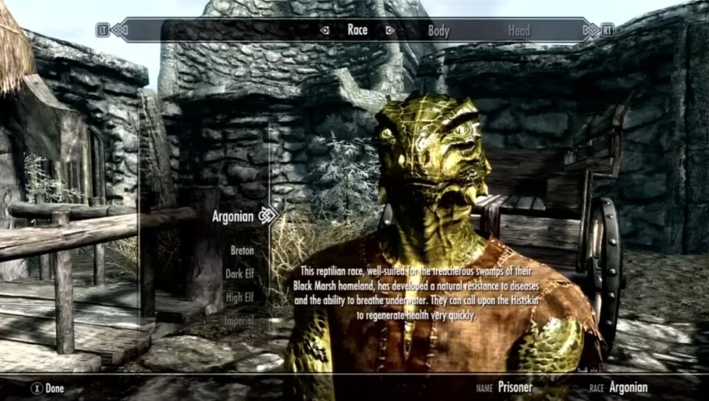 Skyrim Special Edition gameplay on a PC with 8GB RAM