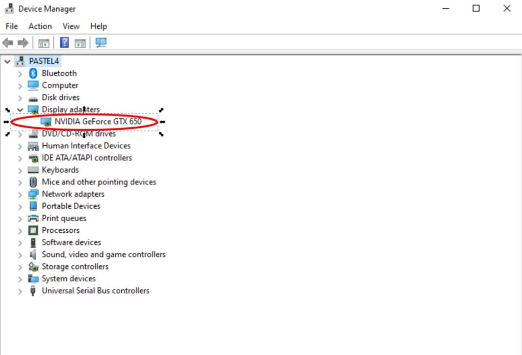 Windows Device Manager showing the installed graphics adapters under Display adapters