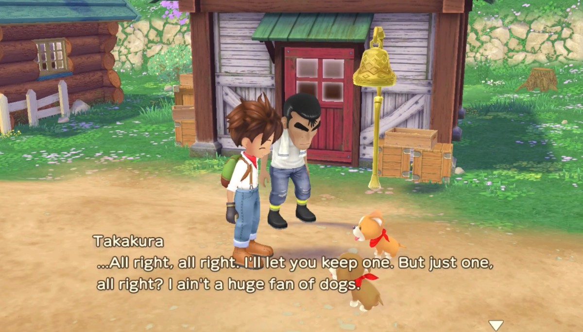 Story of Seasons Friends of Mineral Town gameplay showing its colourful 3D farming world.